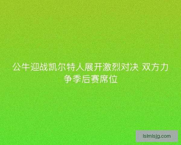 公牛迎战凯尔特人展开激烈对决 双方力争季后赛席位