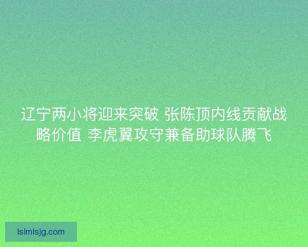 辽宁两小将迎来突破 张陈顶内线贡献战略价值 李虎翼攻守兼备助球队腾飞