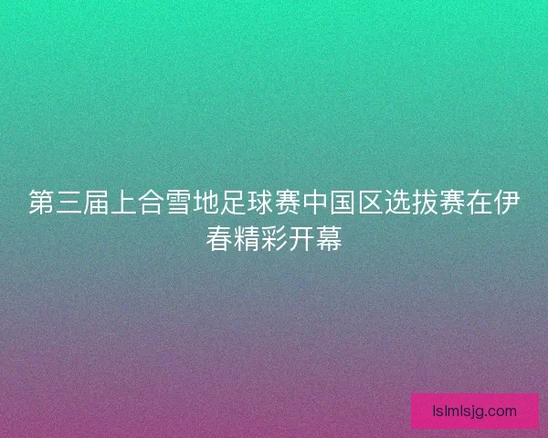 第三届上合雪地足球赛中国区选拔赛在伊春精彩开幕